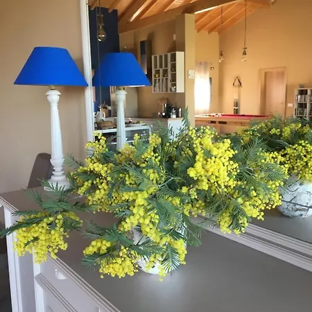 Bed & Breakfast Casa Da Riguerinha Monsanto